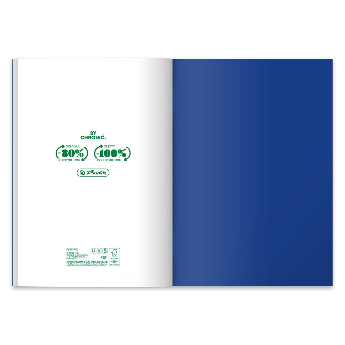 Zeszyt Herlitz Colors Eco PP 9552381 A4 60k. 70g krata (400198132)
