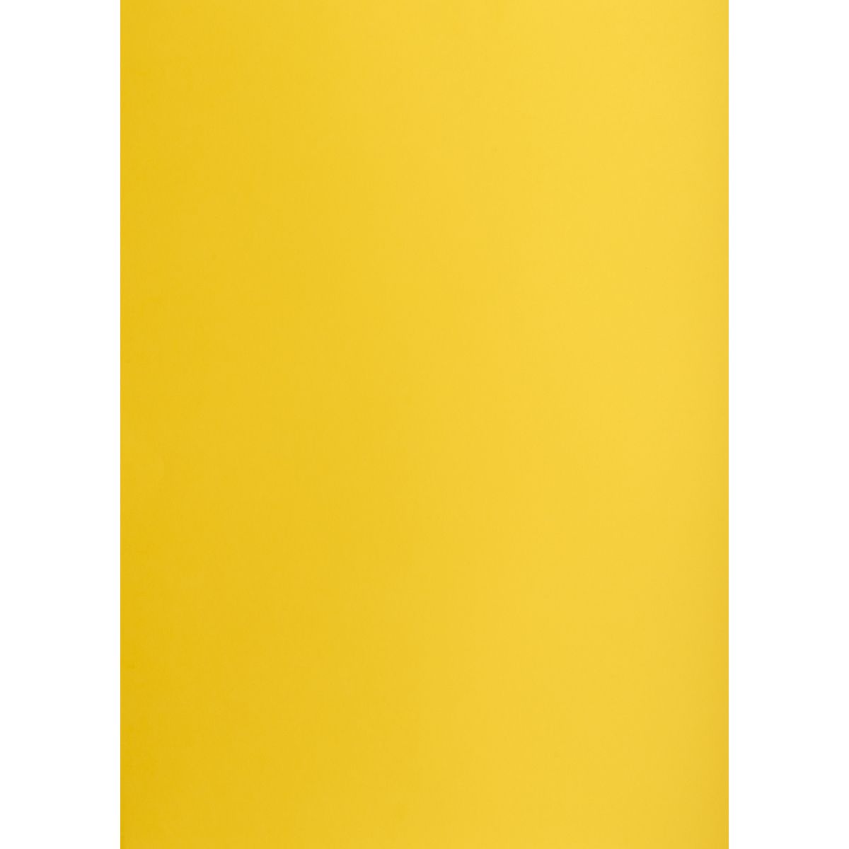 Brystol Creatinio żółty ciemny B2 żółty (400150326)