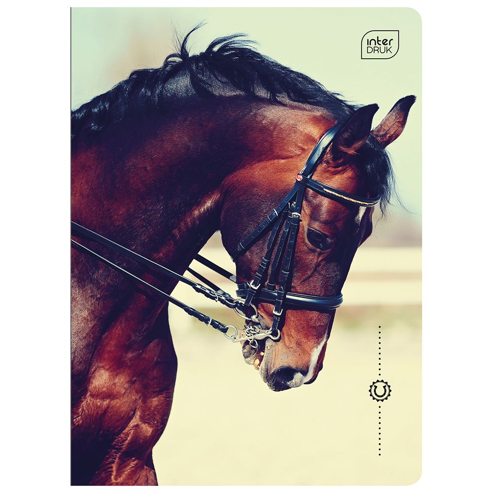 Zeszyt Interdruk A5 16k. 70g trzy linie