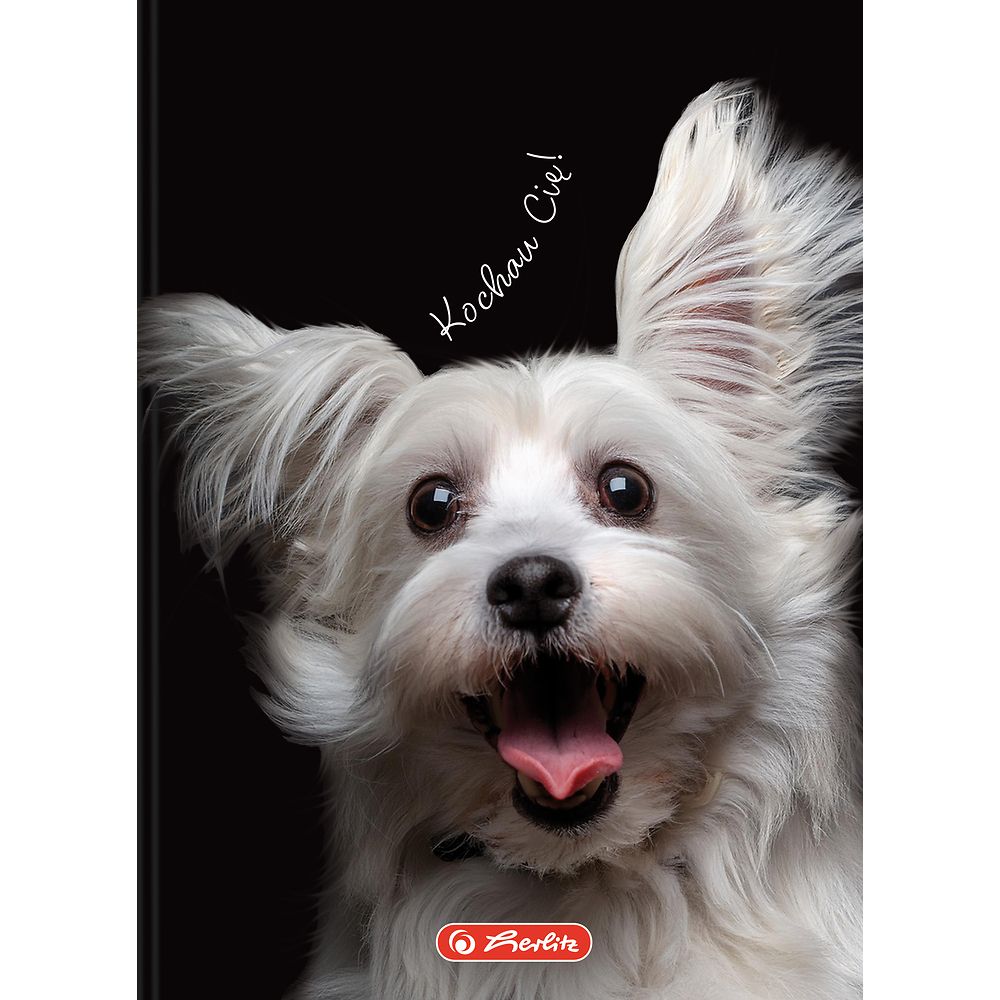 Brulion Herlitz Crazy Animal A6 80k. 70g krata (400196850)
