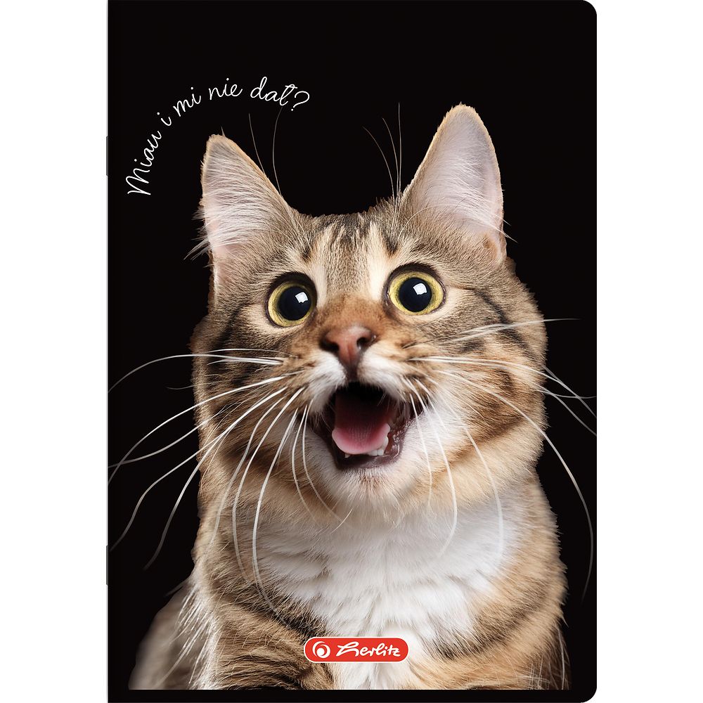 Zeszyt Herlitz Crazy Animal A5 80k. 70g krata (400196839)