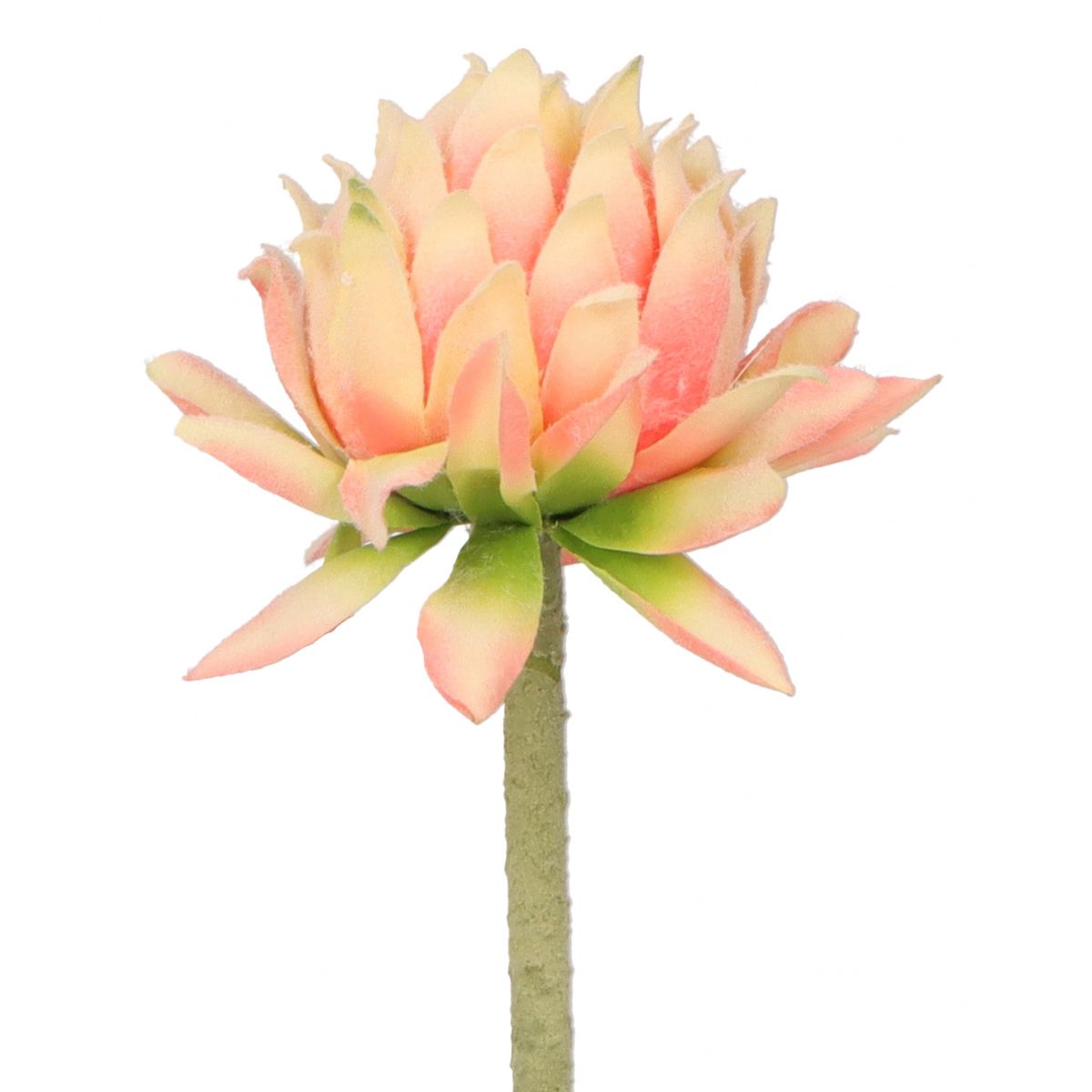Kwiaty karczoch 60cm Home And Garden (8219)