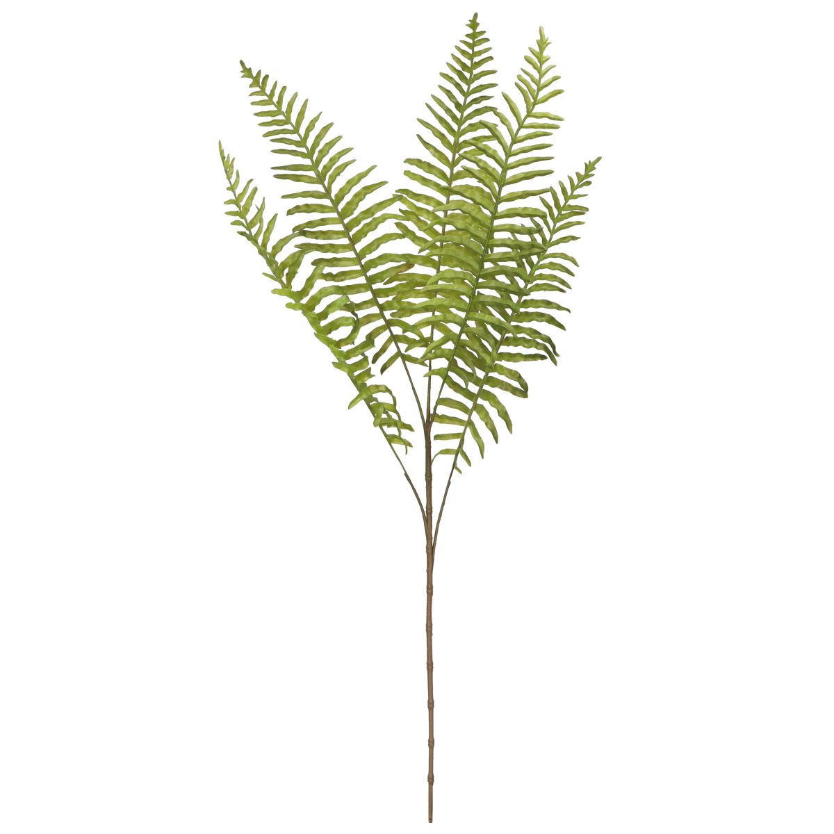 Kwiaty bukiet paproci 75cm Home And Garden (2545)