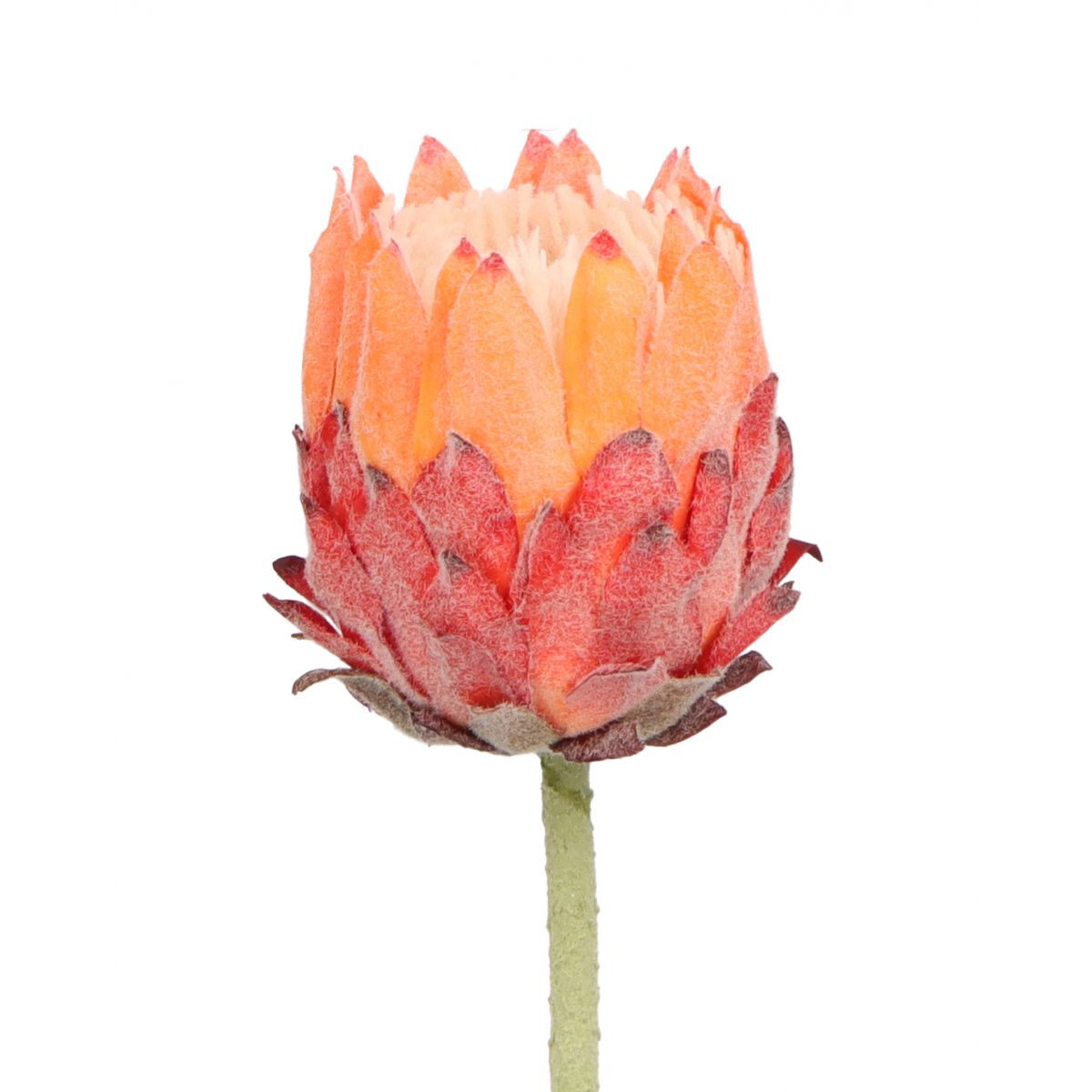 Kwiaty karczoch 65cm Home And Garden (8226)