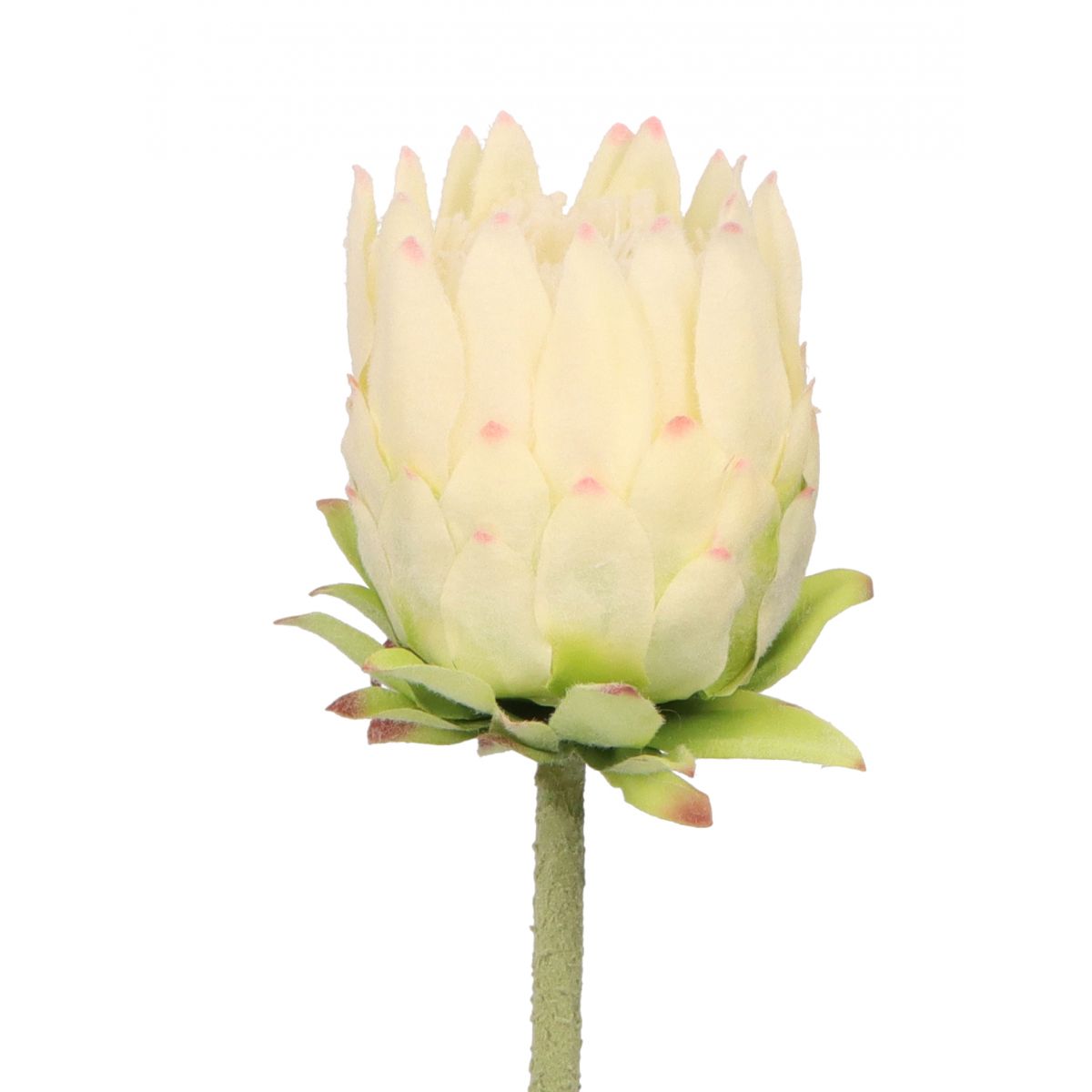 Kwiaty karczoch 65cm Home And Garden (8226)