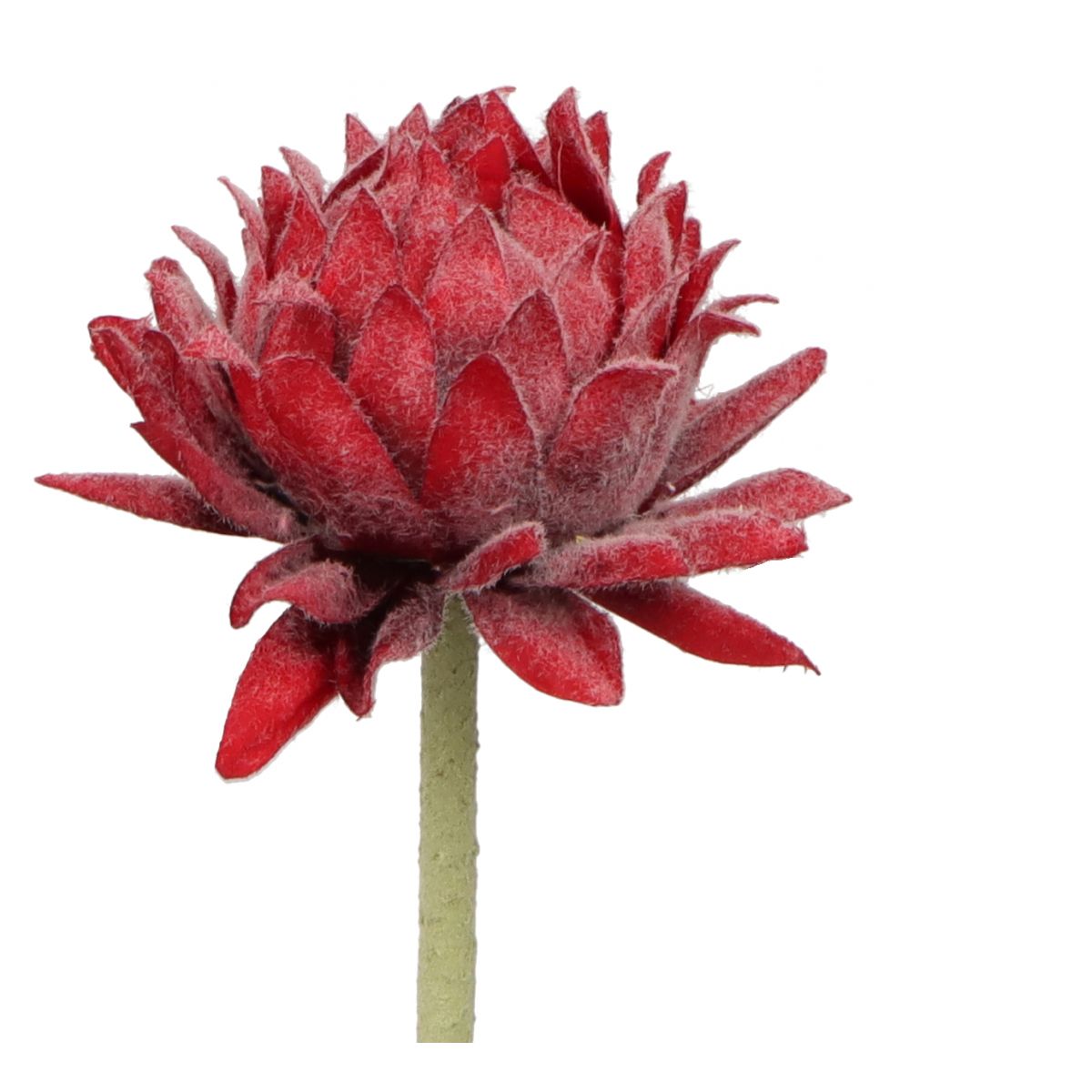 Kwiaty karczoch 60cm Home And Garden (8219)