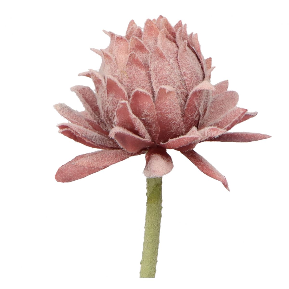 Kwiaty karczoch 60cm Home And Garden (8219)