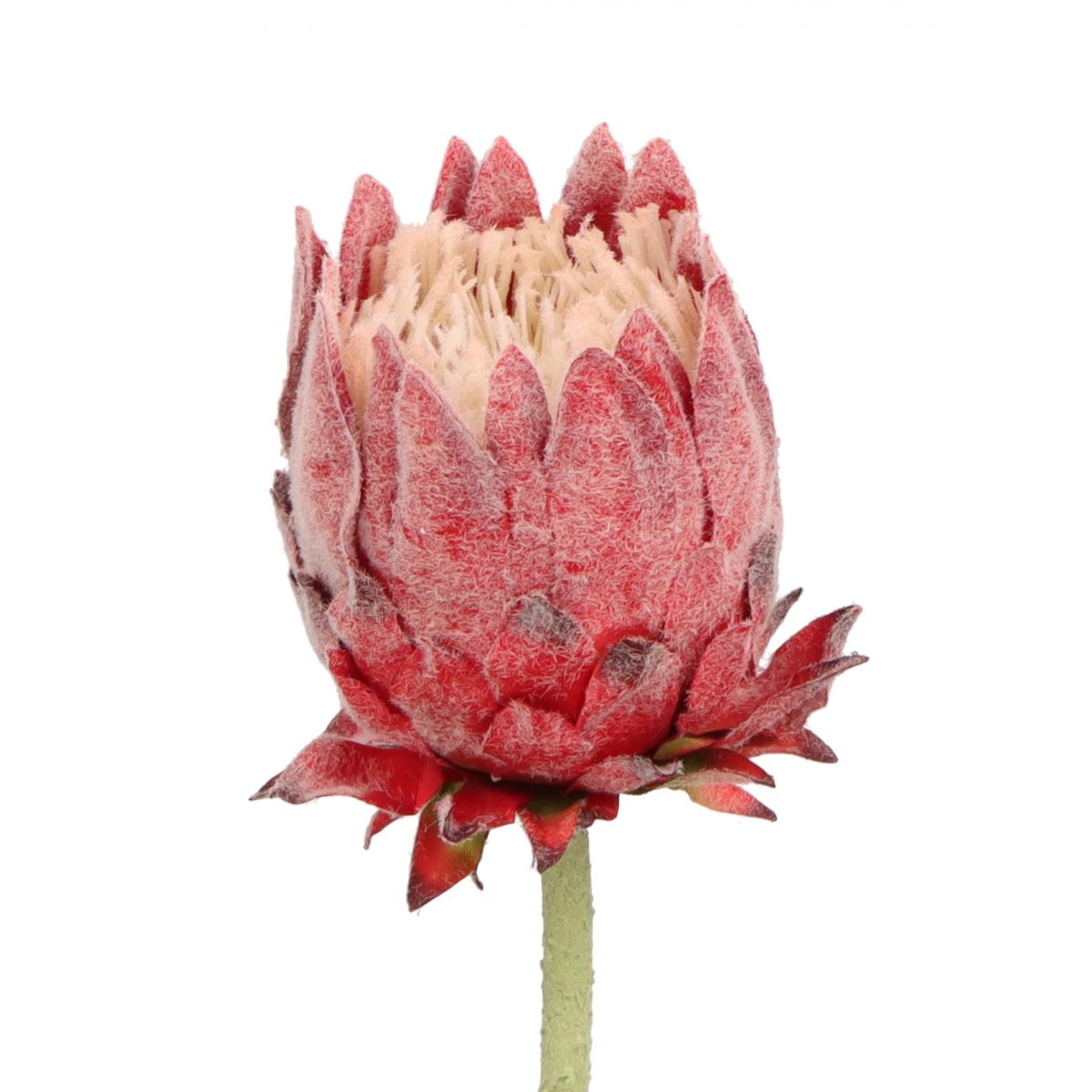 Kwiaty karczoch 65cm Home And Garden (8226)
