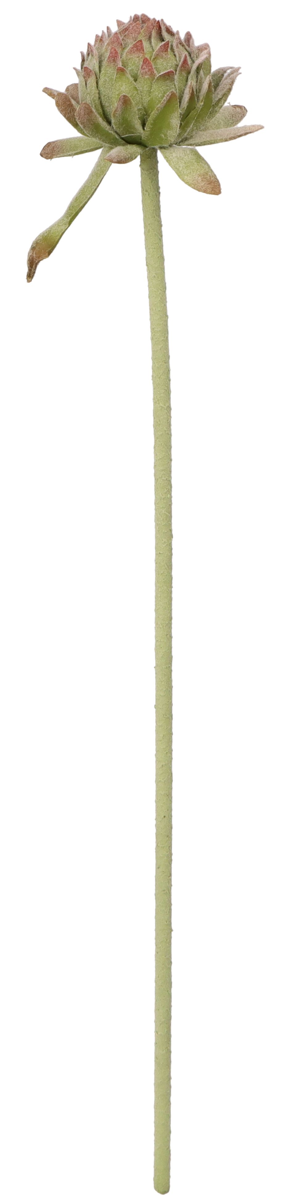 Kwiaty karczoch 60cm Home And Garden (8219)