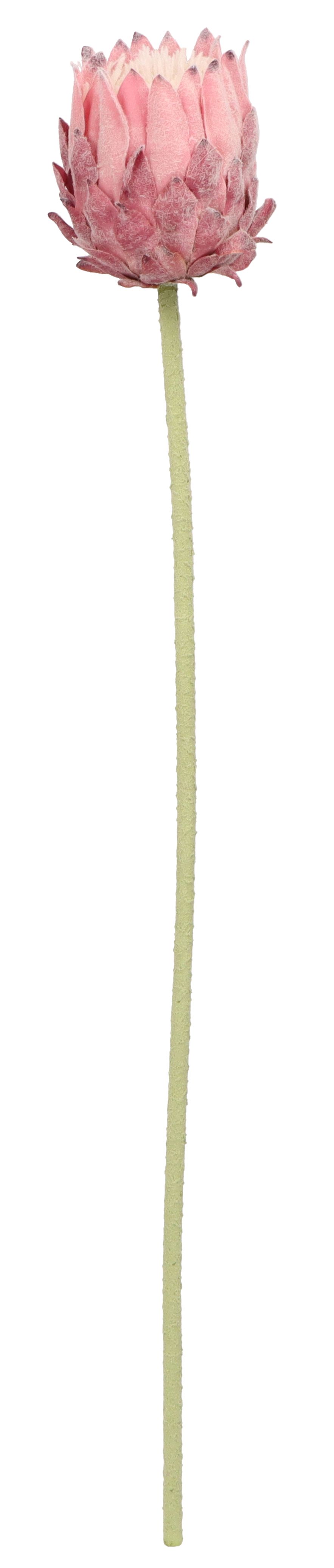 Kwiaty karczoch 65cm Home And Garden (8226)